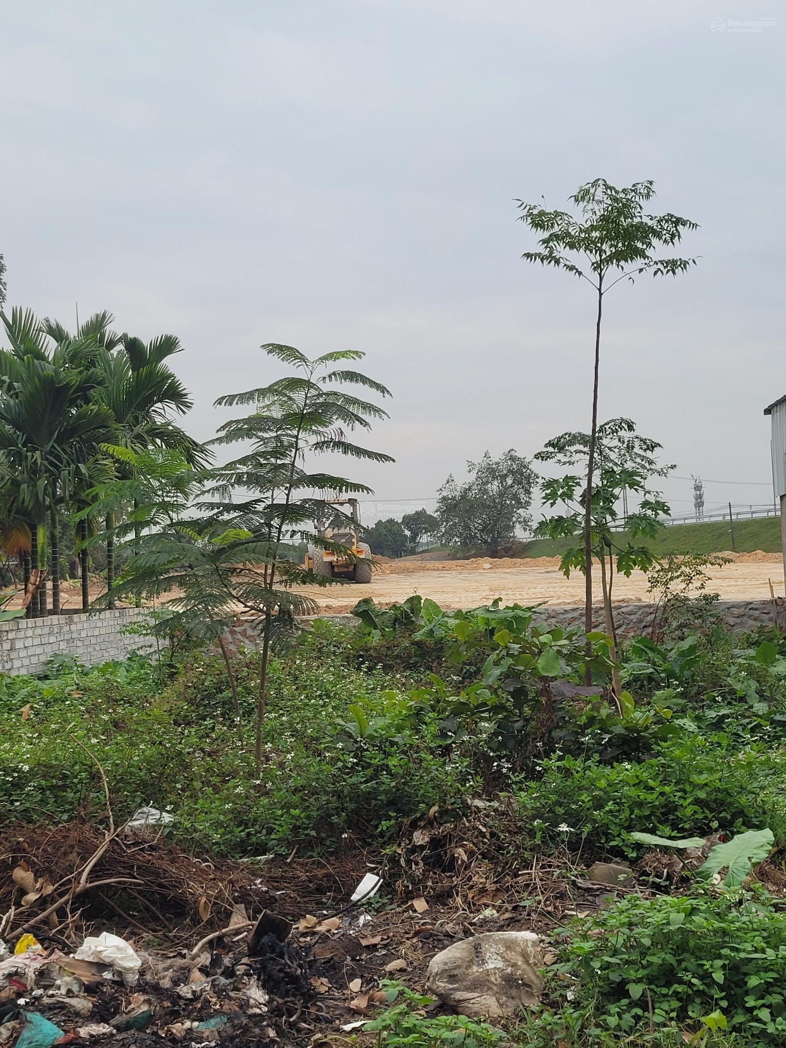 Bán đất tại thanh mai 2,2 tỷ, 70m2, mặt tiền đẹp, cơ hội đầu tư hot!