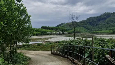 Bán lô đất trồng cây lâu năm. 5900m2 sổ hồng tại xã Hòa Sơn-view đồi núi và cánh đồng cực kì chill