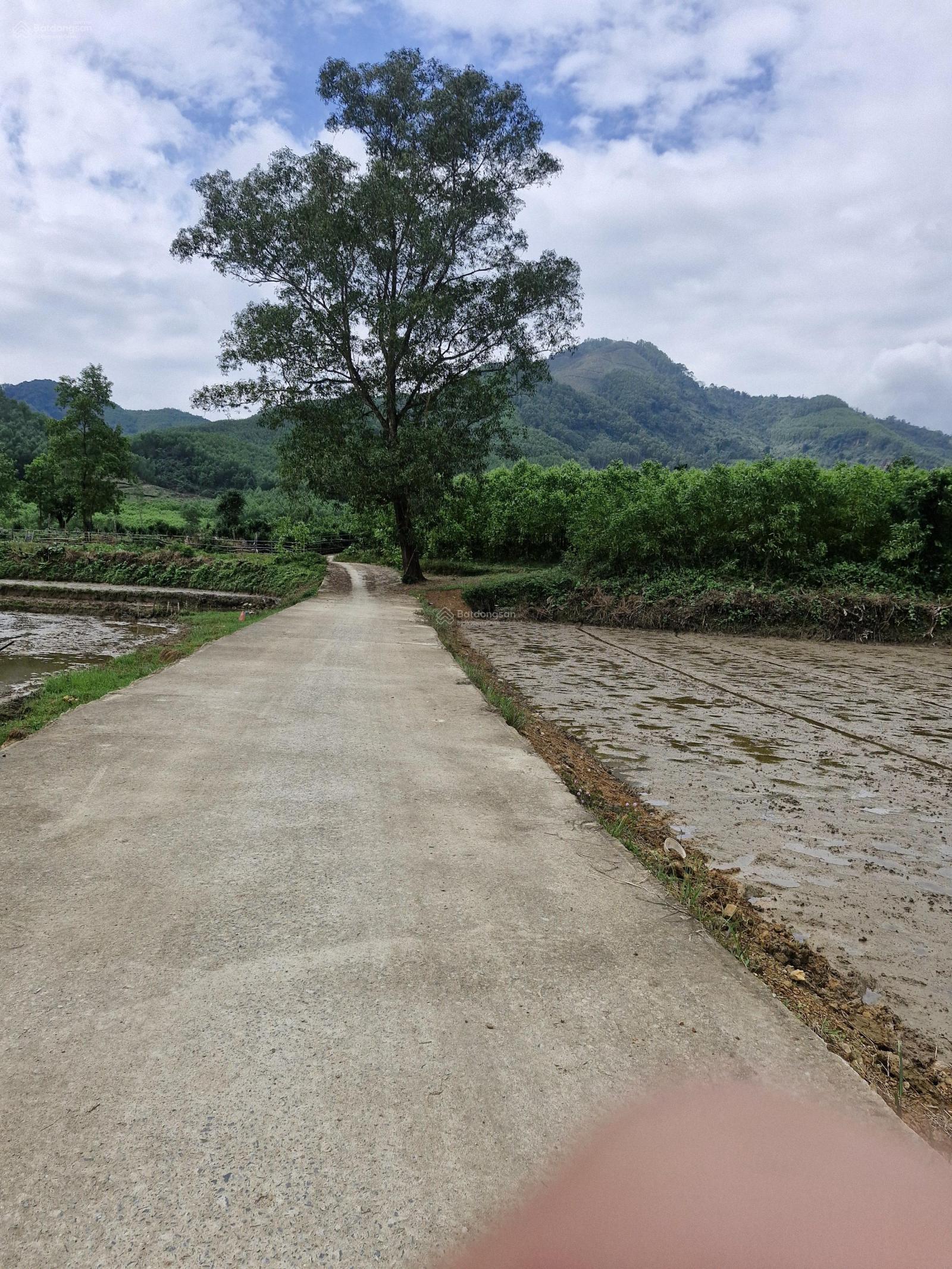 Bán lô đất trồng cây lâu năm. 5900m2 sổ hồng tại xã Hòa Sơn-view đồi núi và cánh đồng cực kì chill