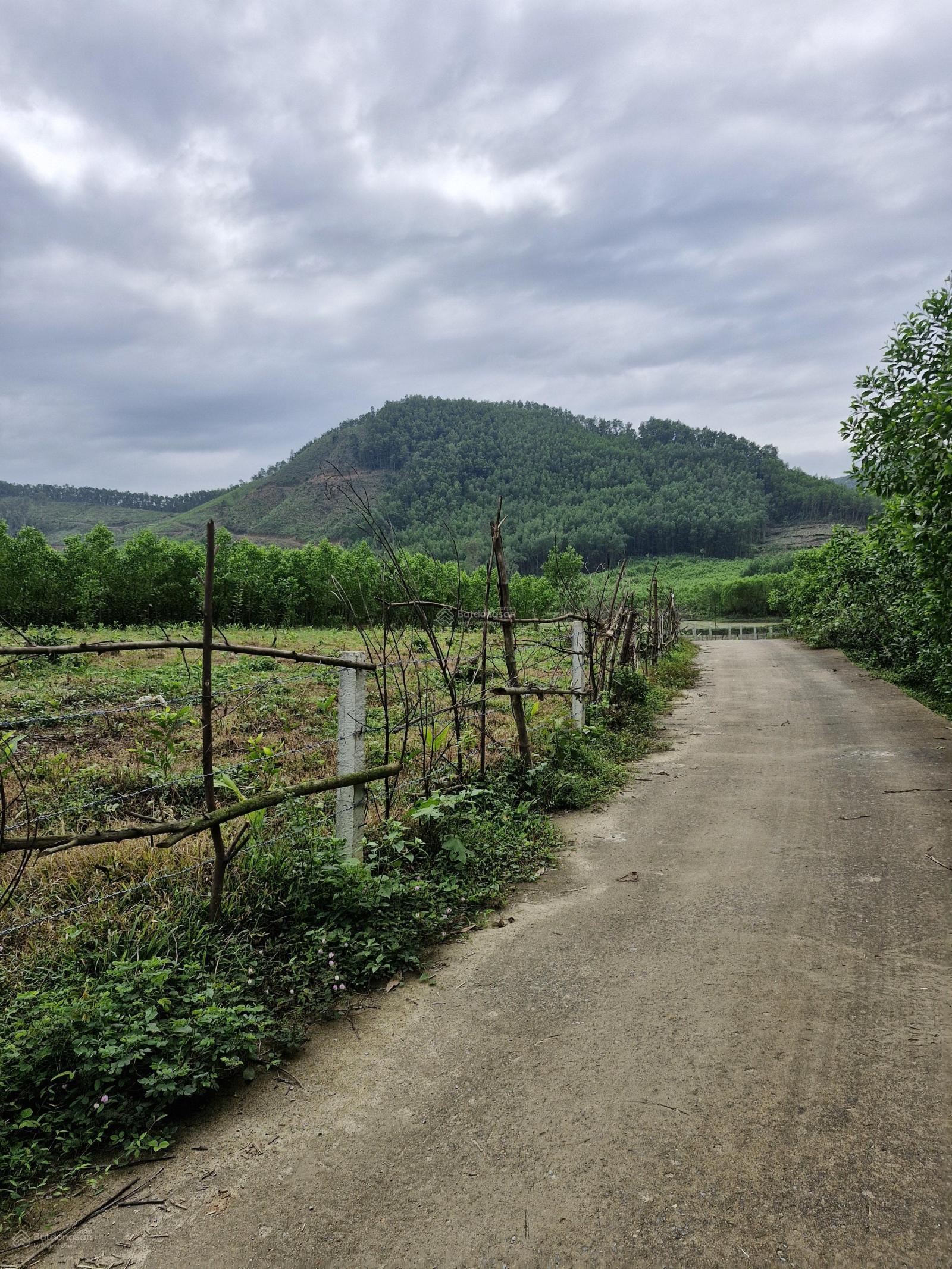Bán lô đất trồng cây lâu năm. 5900m2 sổ hồng tại xã Hòa Sơn-view đồi núi và cánh đồng cực kì chill