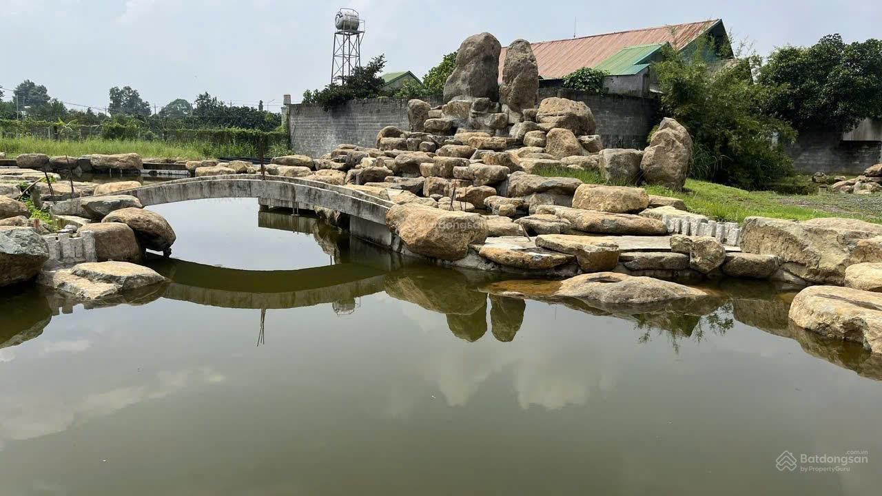 Bán khu vườn cây ăn trái sinh thái, mặt tiền đường Hương Lộ 15, xã Bình Lợi huyện Vĩnh Cửu