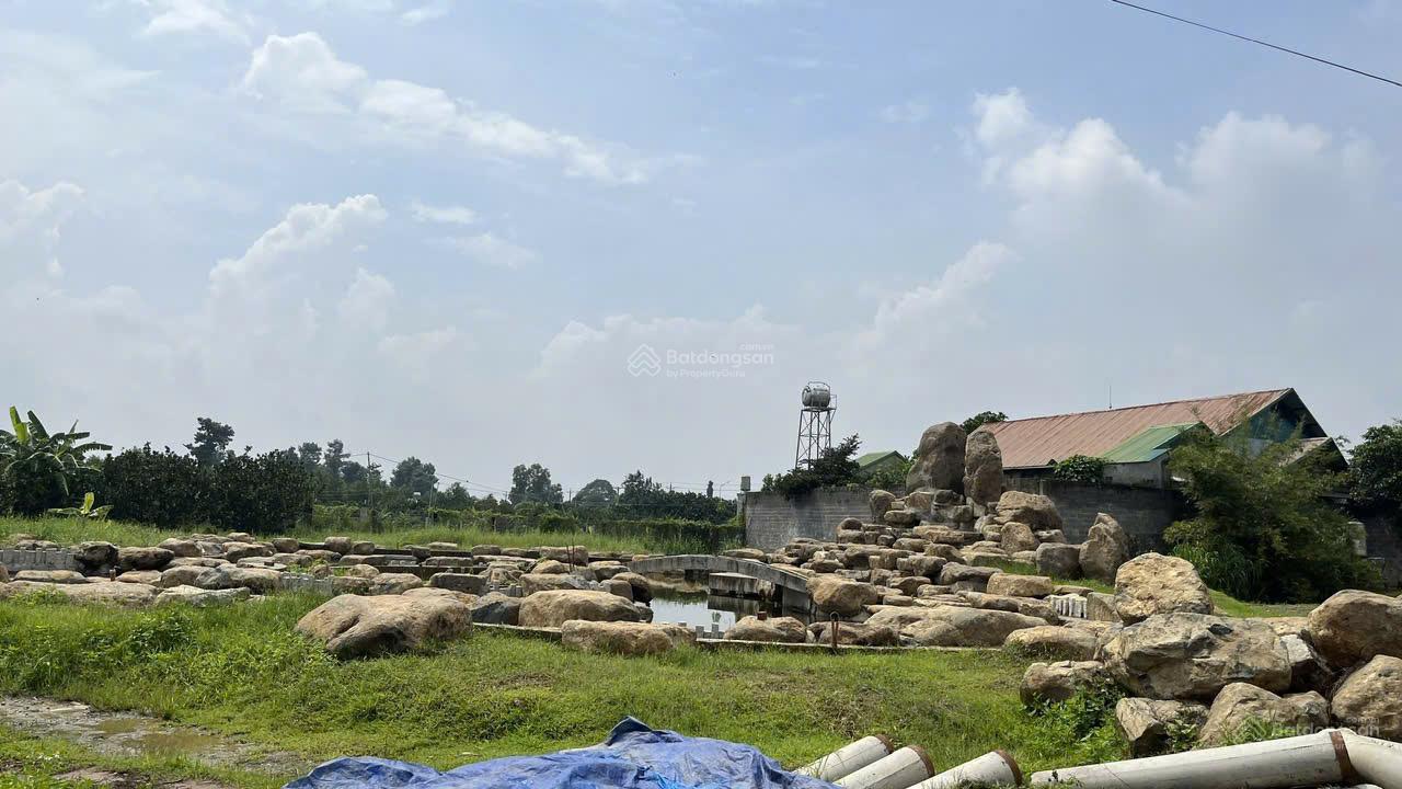 Bán khu vườn cây ăn trái sinh thái, mặt tiền đường Hương Lộ 15, xã Bình Lợi huyện Vĩnh Cửu