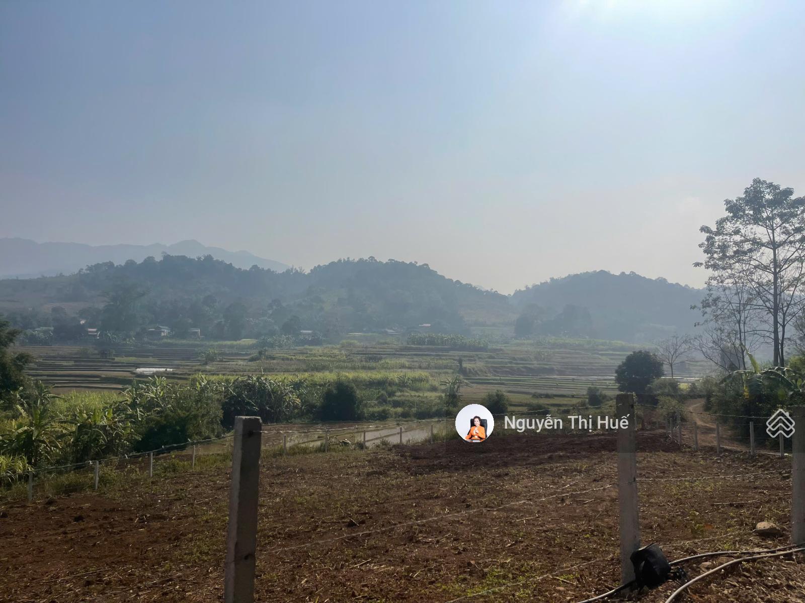 1,15 tỷ 1.976m² view ruộng bậc thang Hợp Phong, Cao Phong, Hòa Bình