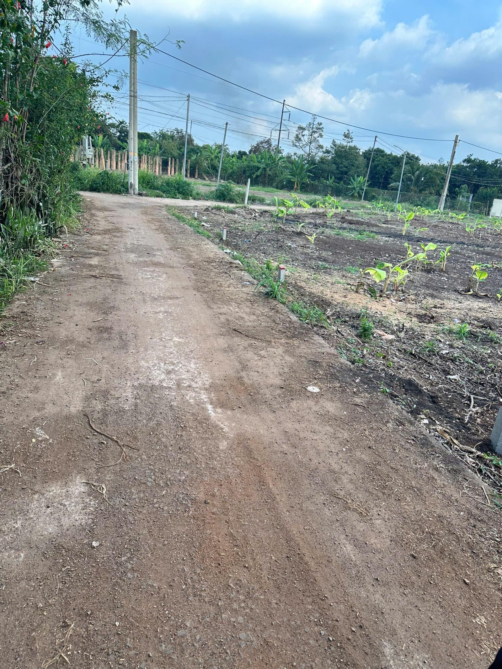 #đất Long Khánh ,Bảo Vinh, sổ riêng thổ cư giá 1,7 tỷ, 250m2,