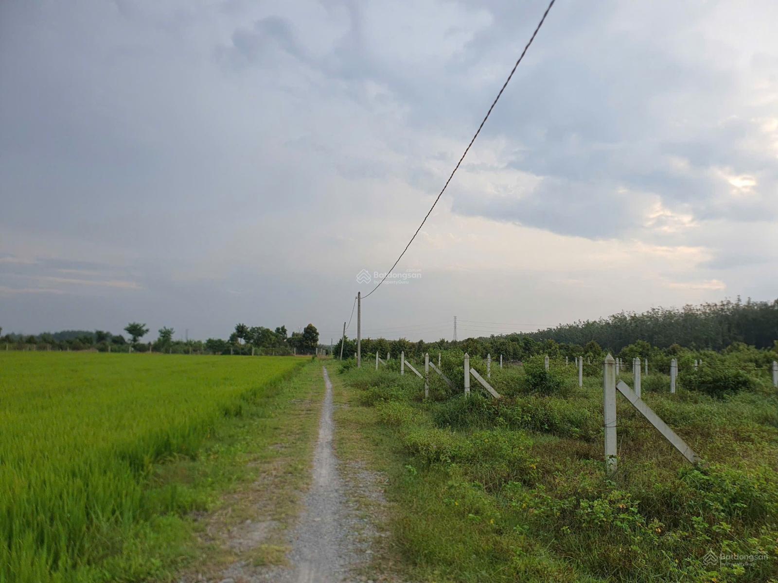 ĐẤT THỔ CƯ ẤP 7_ BÀU ĐỒN_ GÒ DẦU_ TÂY NINH VỊ TRÍ CỰC KÌ ĐẸP