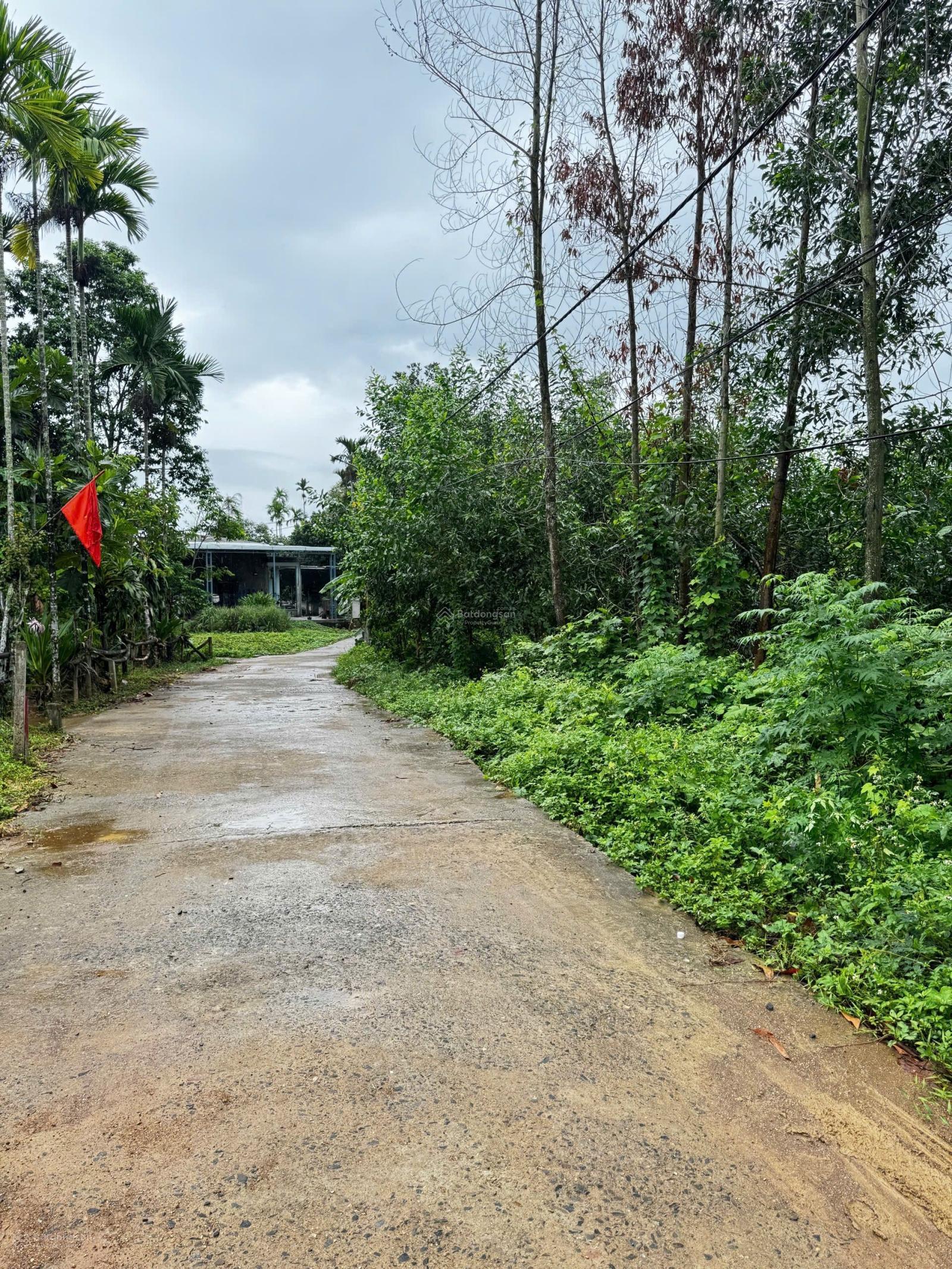 Đất gần nam kỳ khỡi nghĩa, 1000m2 có 400m2 đất ở ngang rộng 30m.