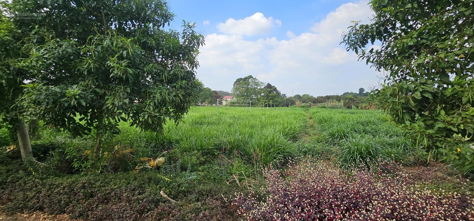 Bán mảnh đất đẹp, thổ cư, sổ riêng tại Kim Long