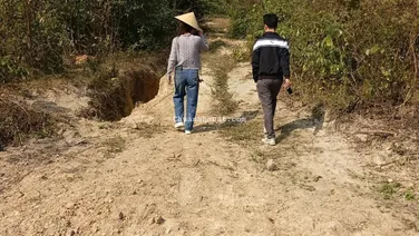 Cần bán lô đất rừng sản xuất thôn Đồng Cà, xã Yên Dương, Tam Đảo, Vĩnh Phúc