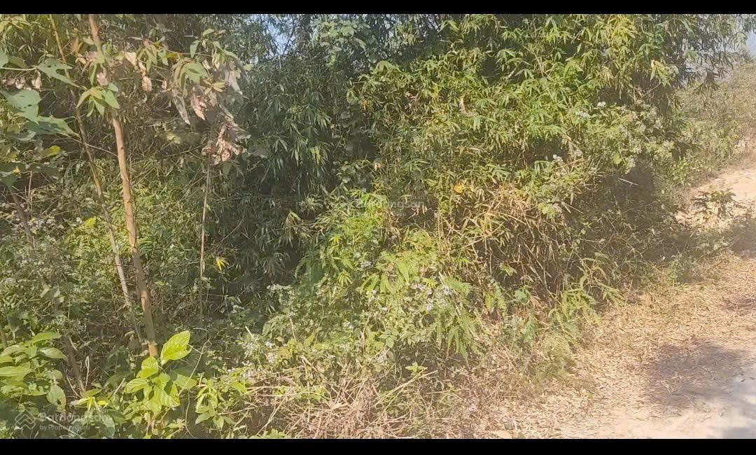 Cần bán lô đất rừng sản xuất thôn Đồng Cà, xã Yên Dương, Tam Đảo, Vĩnh Phúc