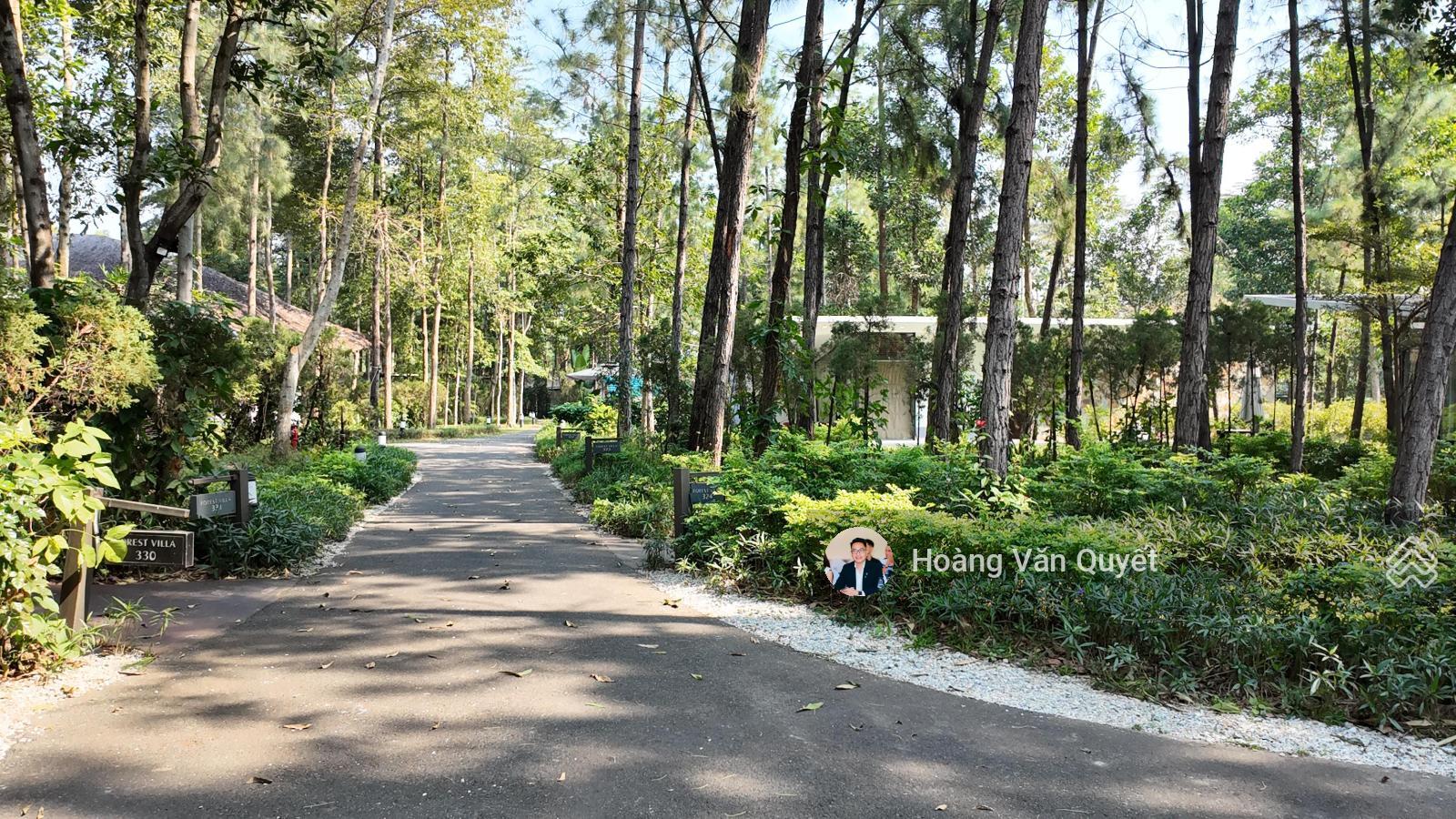 Bán biệt thự 140m2 Forest Villa Flamingo Đại Lải full đồ sẵn 2,8 tỷ sổ TMDV 50 năm. LH 0962 202 ***