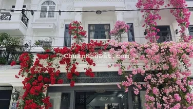 CỰC HOT-BIỆT THỰ 4 TẦNG 6x13.5M, KDC VIP HUỲNH TẤN PHÁT, XE HƠI TRONG NHÀ, GIÁ RẺ NHẤT KHU 7.9 TỶ