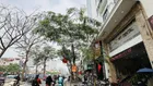 Rẻ nhất mặt phố Vũ Tông Phan - đầu Nguyễn Trãi, không quy hoạch, KD đỉnh, 65m2 x MT 4.7m