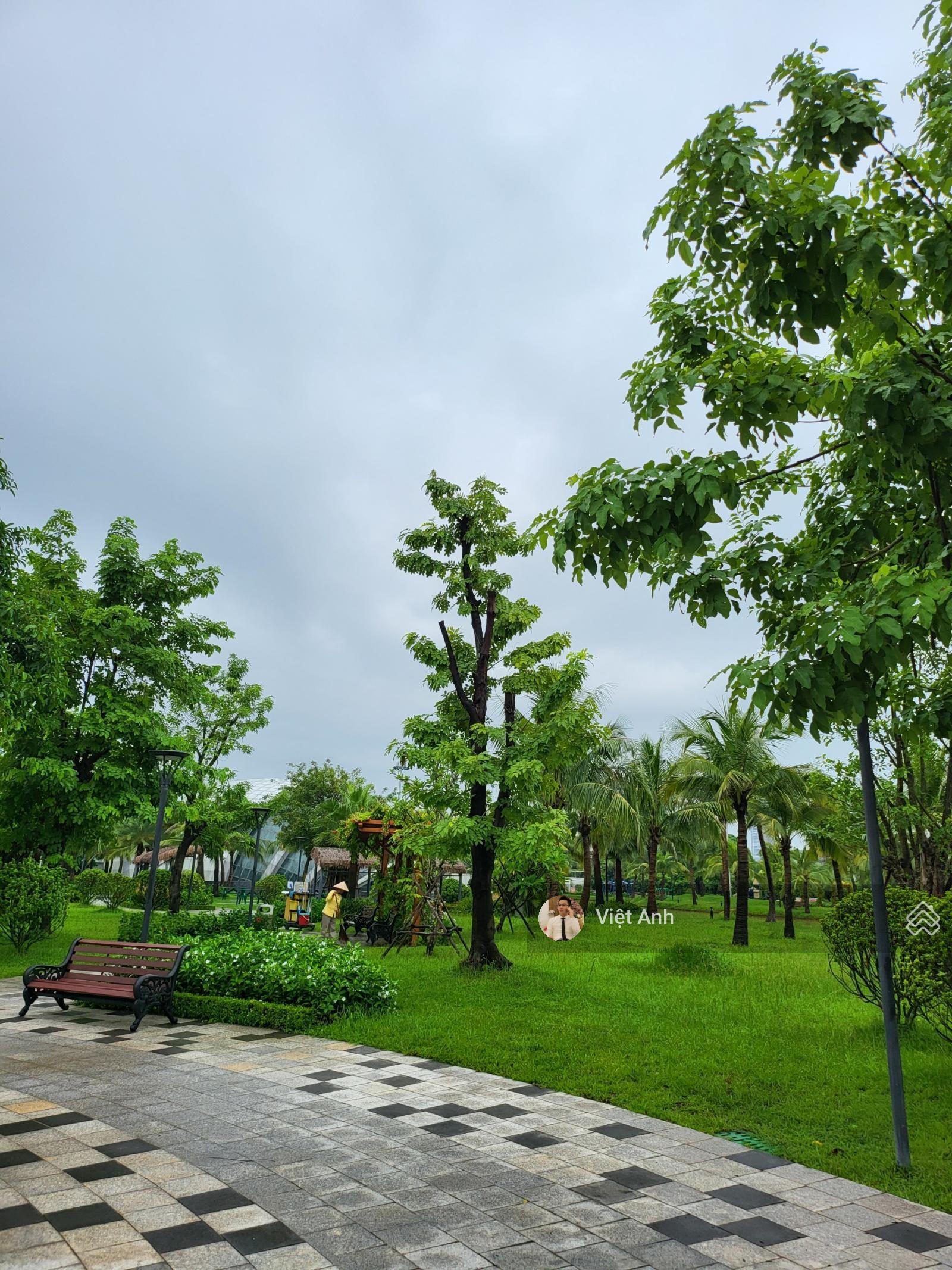 68 TỶ sở hữu ngay biệt thự VIEW VƯỜN THIỀN Vin Green Villas 275m2 vị trí yên tĩnh độc bản tinh hoa 68 TỶ sở hữu ngay biệt thự VIEW VƯỜN THIỀN Vin Green Villas 275m2 vị trí yên tĩnh độc bản tinh hoa