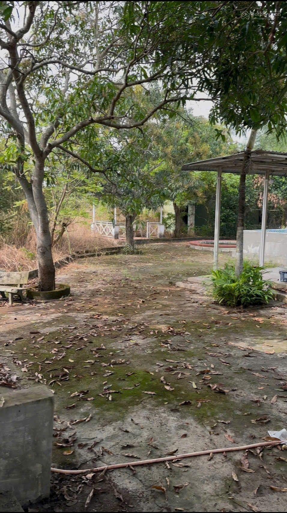 Ngôp! Hạ giá bán nhanh lô đất tặng căn nhà vườn Quy Đức, Bình Chánh