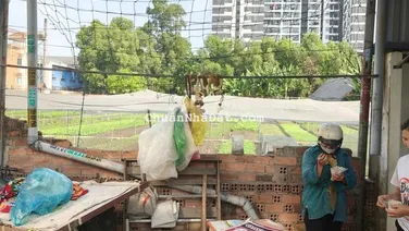 Chỉ 15 triệu/m2 lô đất ngay phường Dĩ An, 1km là Vincom 550