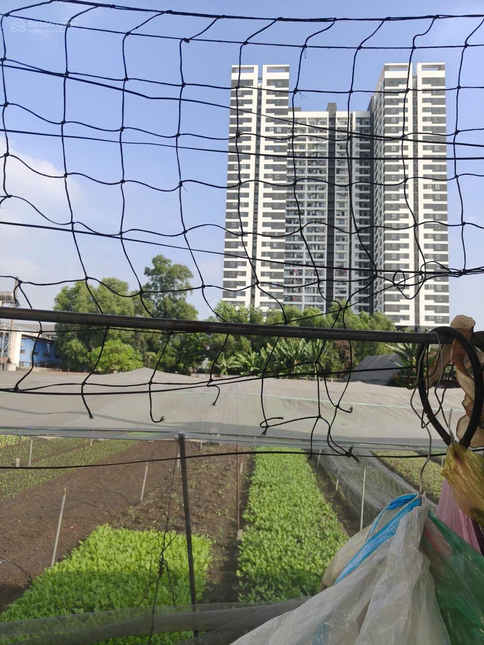 Chỉ 15 triệu/m2 lô đất ngay phường Dĩ An, 1km là Vincom 550