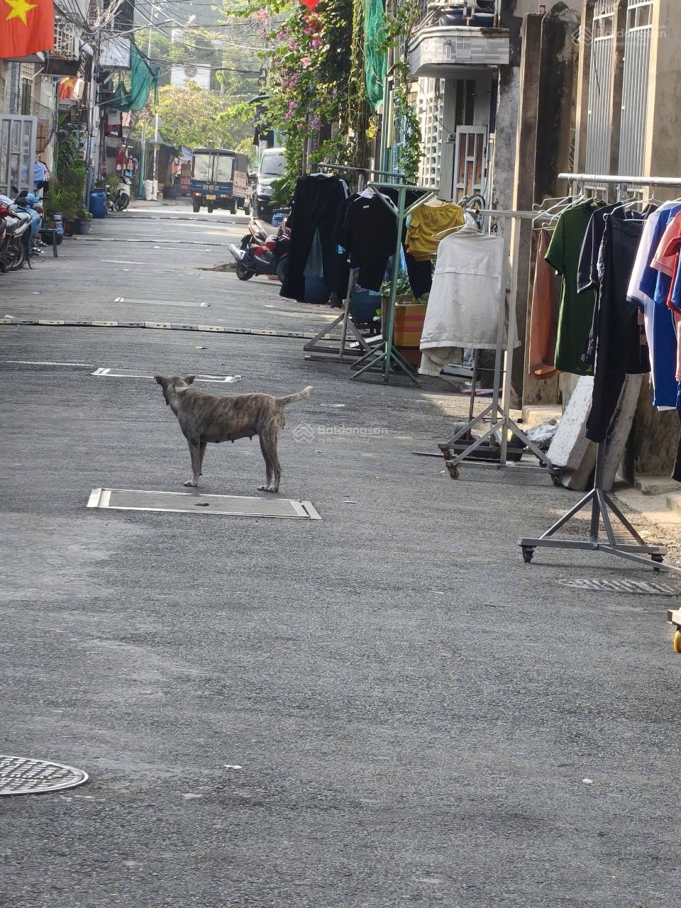 Chỉ 15 triệu/m2 lô đất ngay phường Dĩ An, 1km là Vincom 550