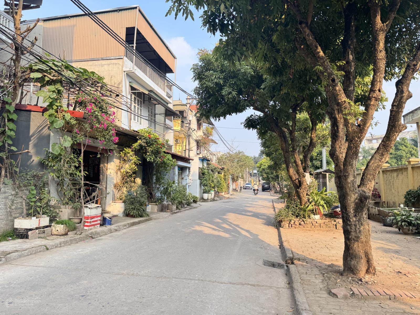 Chính chủ bán đất tặng dãy trọ đường ô tô tránh tại trung tâm Viện Rau, Trâu Quỳ, Gia Lâm Chính chủ bán đất tặng dãy trọ đường ô tô tránh tại trung tâm Viện Rau, Trâu Quỳ, Gia Lâm