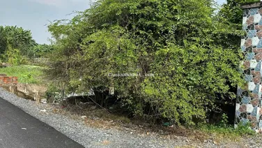 Bán lô đất vườn giá rẻ Qui Đức, Bình Chánh