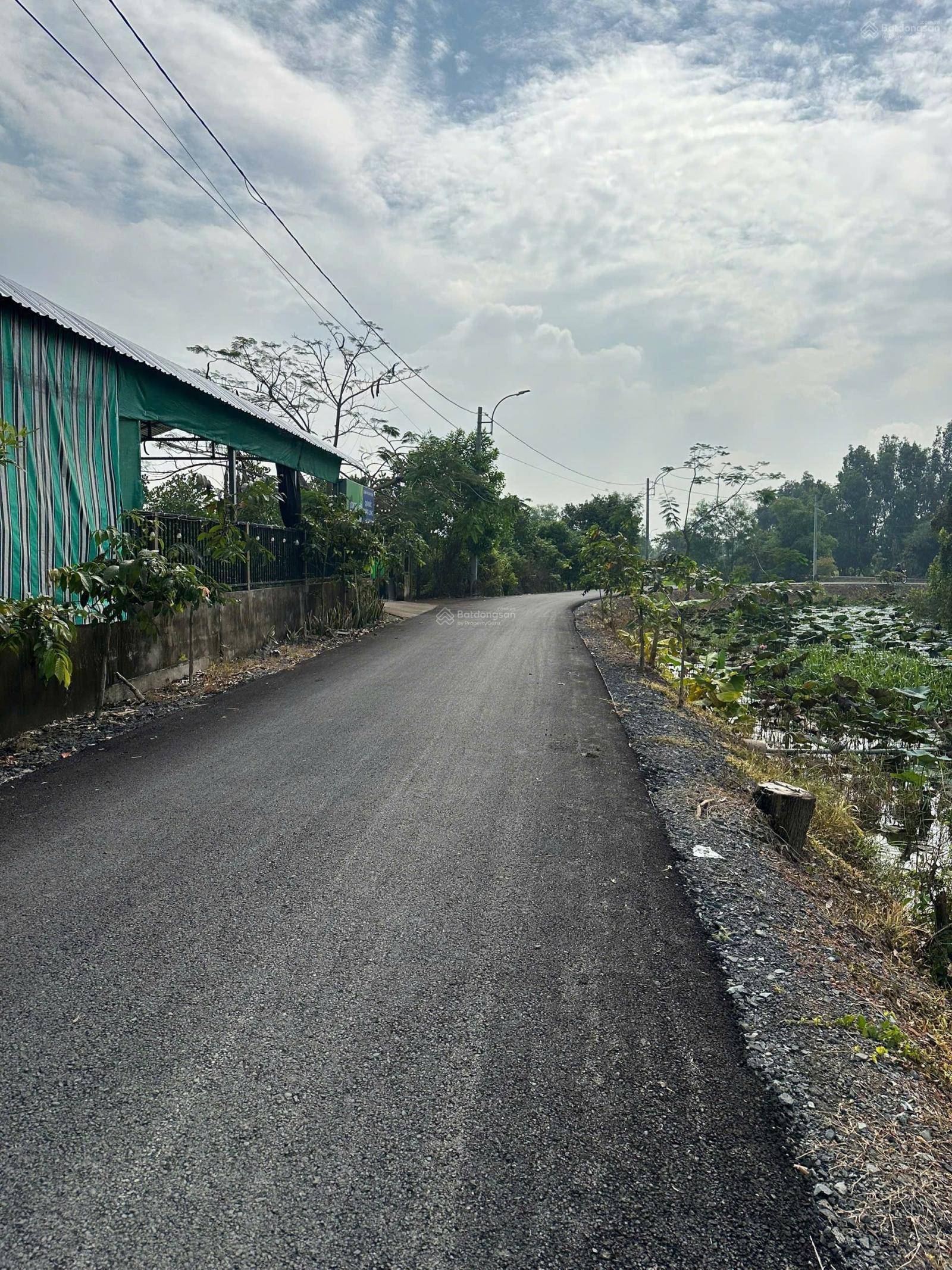 Bán lô đất vườn giá rẻ Qui Đức, Bình Chánh