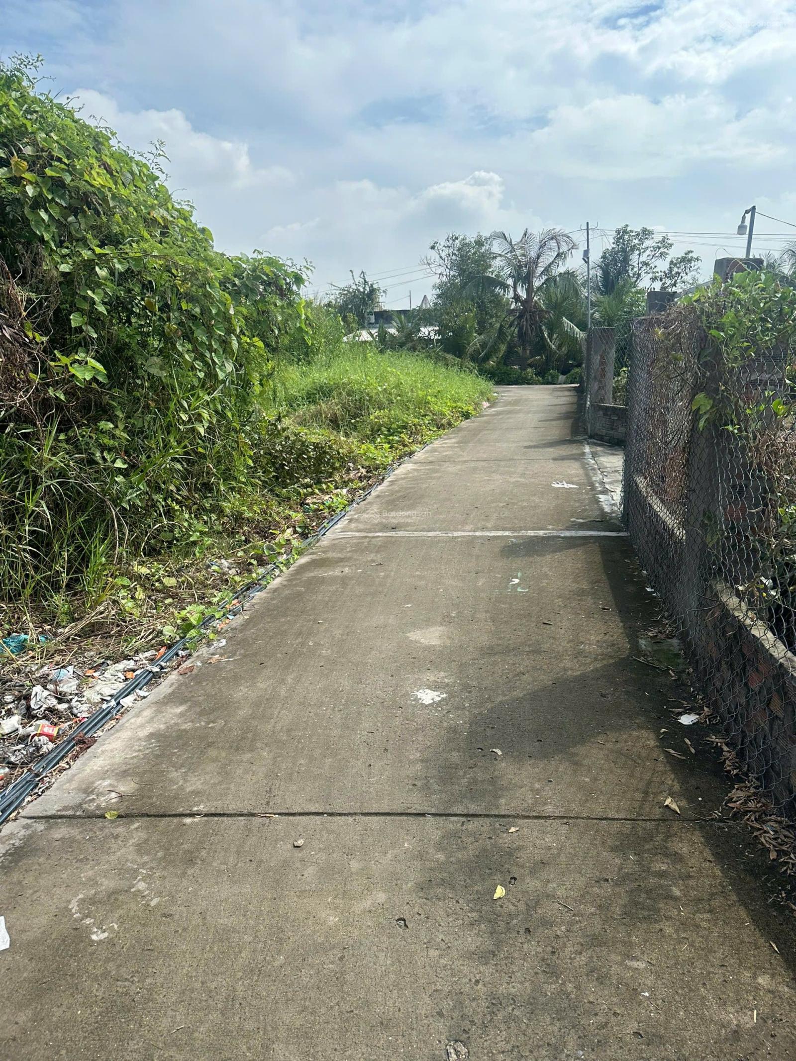 Bán lô đất vườn đầu tư Quy Đức Bình Chánh