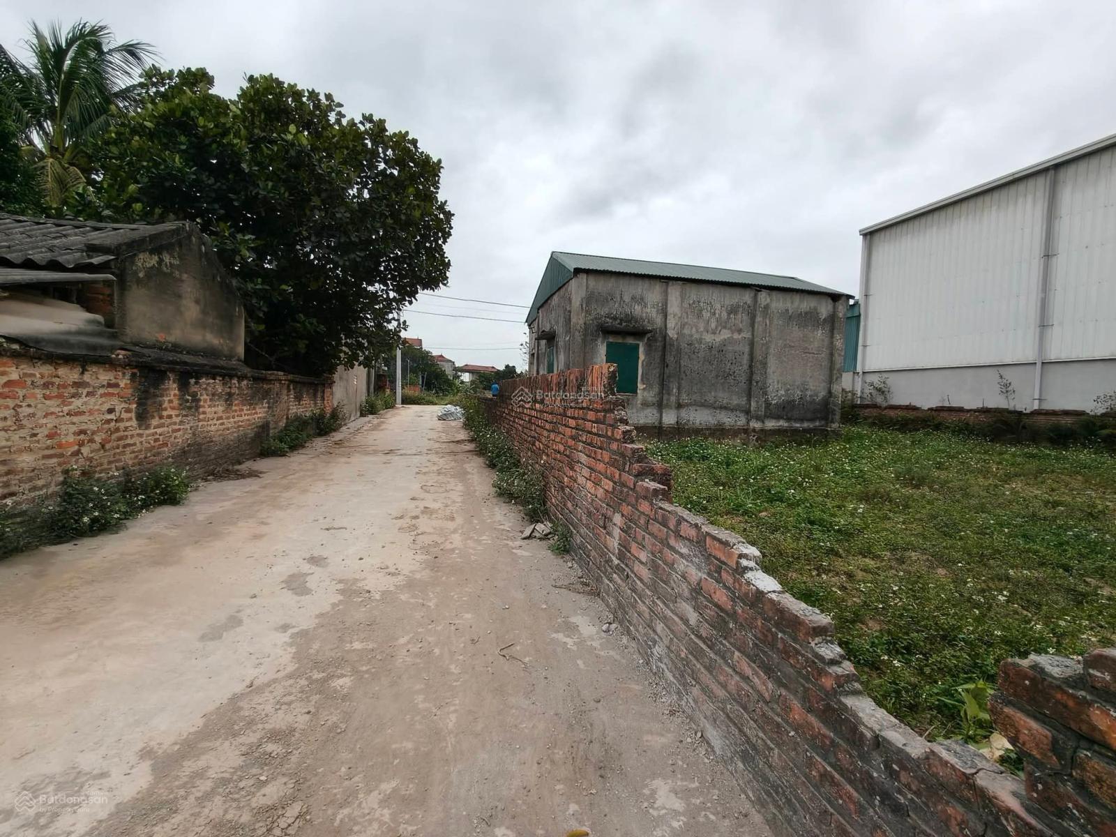 Đất Thái Lai, 490m2, mt15m, 8.35 tỷ, lô góc, nhà C4, xe bán tải, thông, Sóc Sơn.