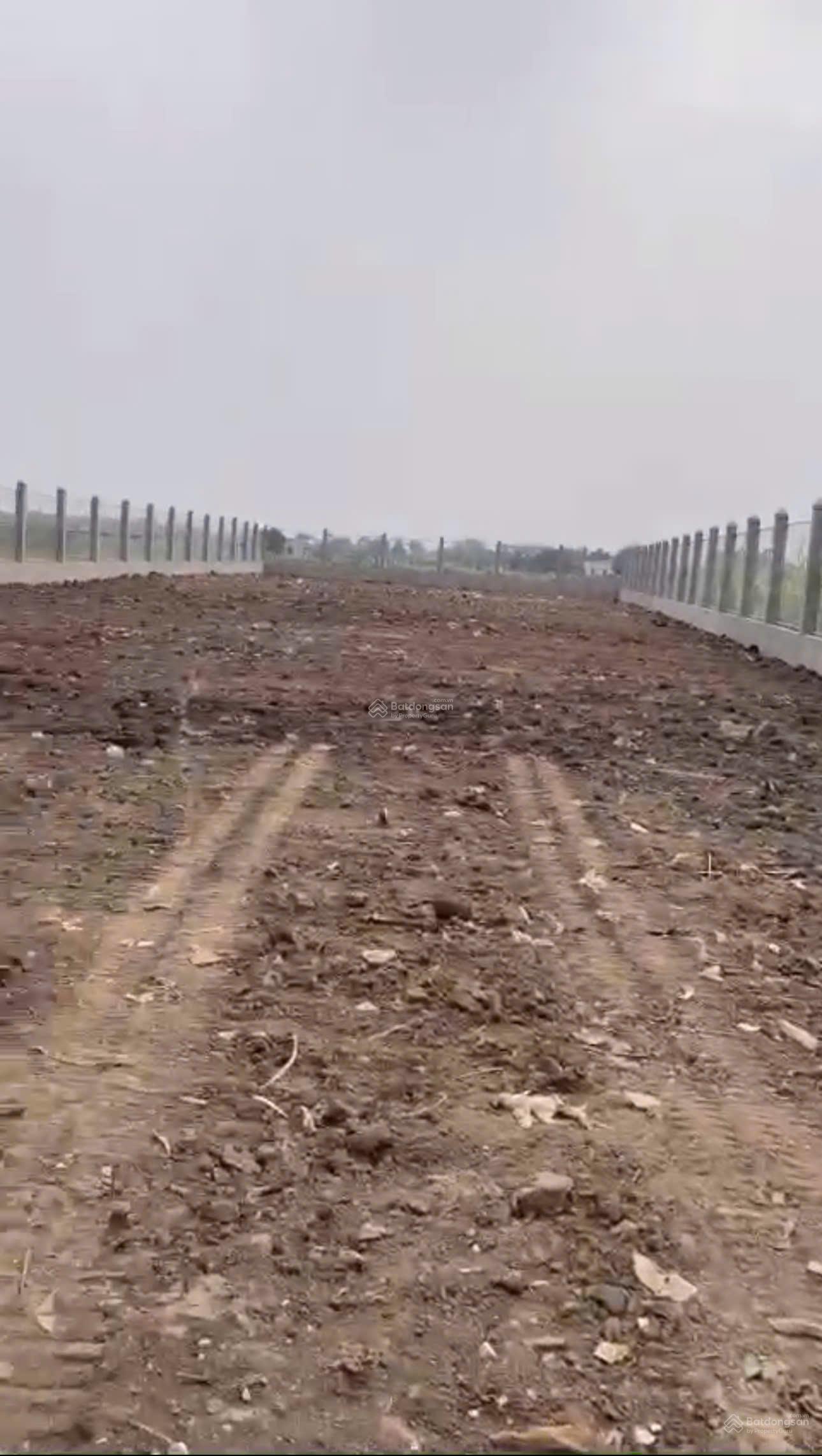 Đất đẹp giá tốt - cần bán lô đất mặt tiền đường nhựa Tập Đoàn 16, xã Đa Phước, Bình Chánh, TpHCM Đất đẹp giá tốt - cần bán lô đất mặt tiền đường nhựa Tập Đoàn 16, xã Đa Phước, Bình Chánh, TpHCM