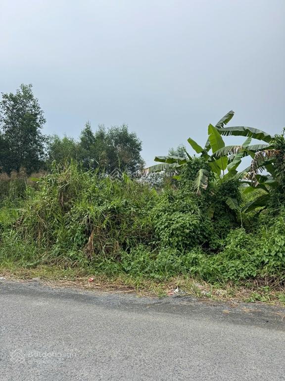 Hot hot - cần bán 2 mảnh đất vườn 2 mặt tiền tại đường Liên Ấp 4-5, Xã Đa Phước, Bình Chánh, TPHCM Hot hot - cần bán 2 mảnh đất vườn 2 mặt tiền tại đường Liên Ấp 4-5, Xã Đa Phước, Bình Chánh, TPHCM