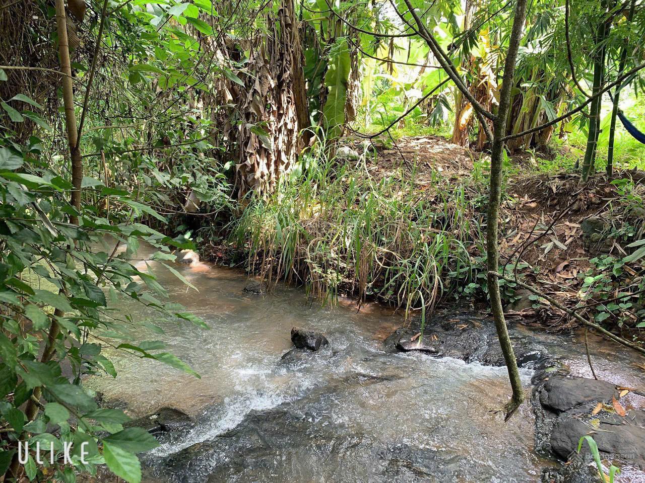 Bán khoảng 1 mẫu 2 (12.409m2) đất xã Láng Lớn, huyện Châu Đức, BRVT cũ). Giá 13,5 tỷ