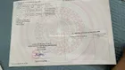 Bán đất Tân Lạc, Hòa Bình, DT 1,1ha. Sổ đầy đủ sang tên trong ngày. Giá chỉ 1 tỷ x