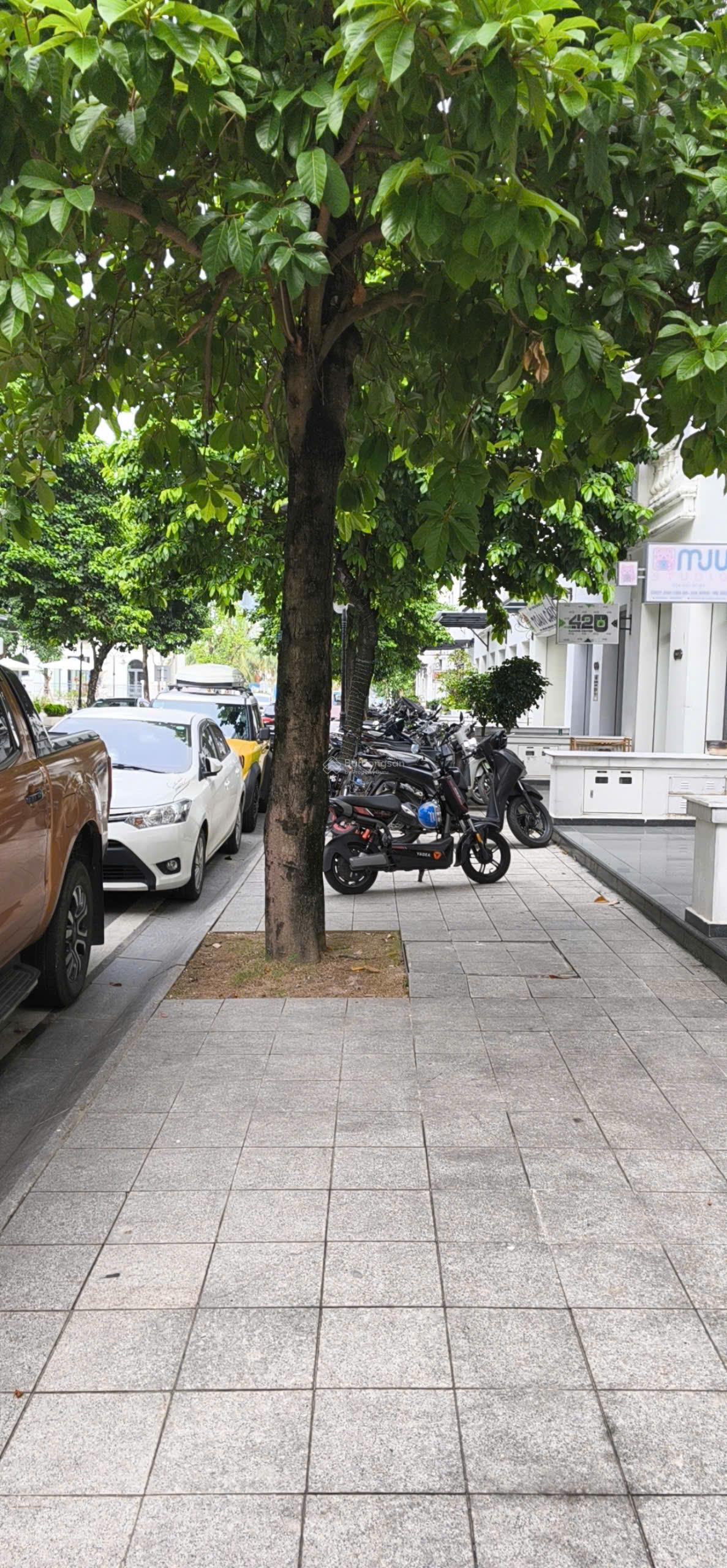 Cho thuê nhà cấp 4 gác có gác xép, 6 triệu/th, 60m2 ở khu tái định cư Trâu Quỳ Cho thuê nhà cấp 4 gác có gác xép, 6 triệu/th, 60m2 ở khu tái định cư Trâu Quỳ