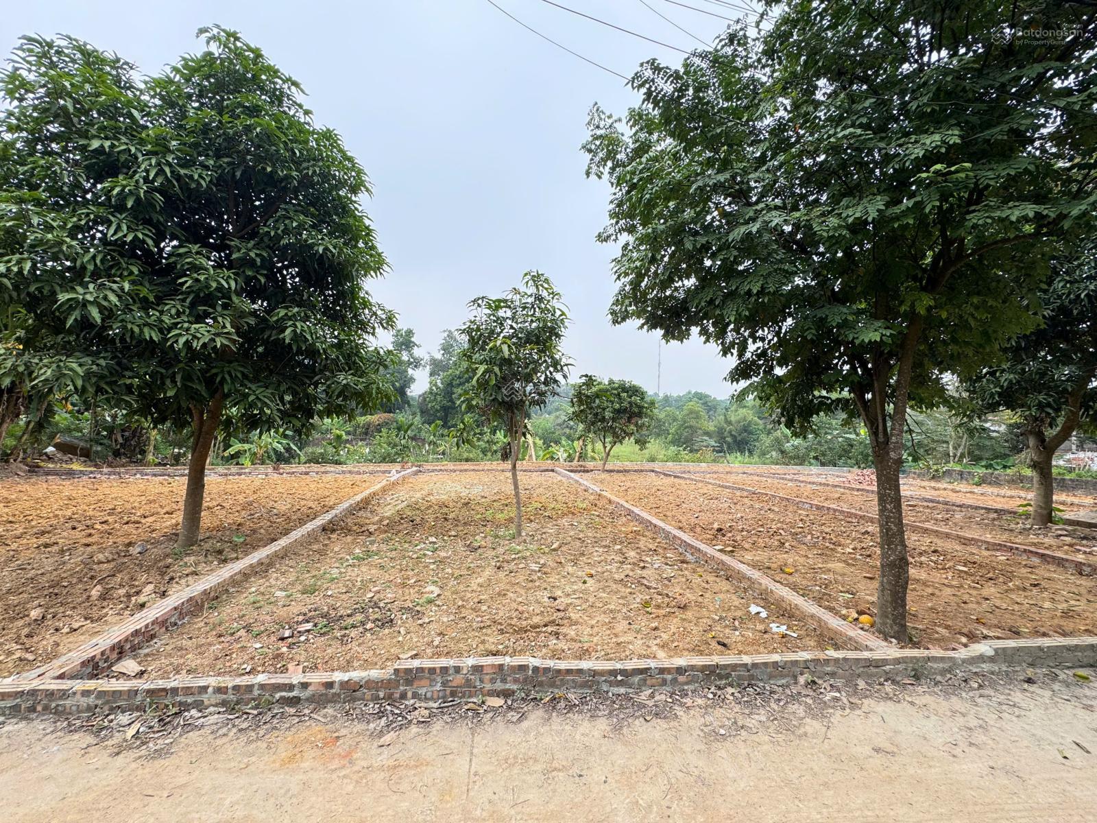 Em có lô đất đầu tư 150m2, gần 50m2 lưu không tặng, giá chỉ nhỉnh 2 tỷ, không có lô thứ 2