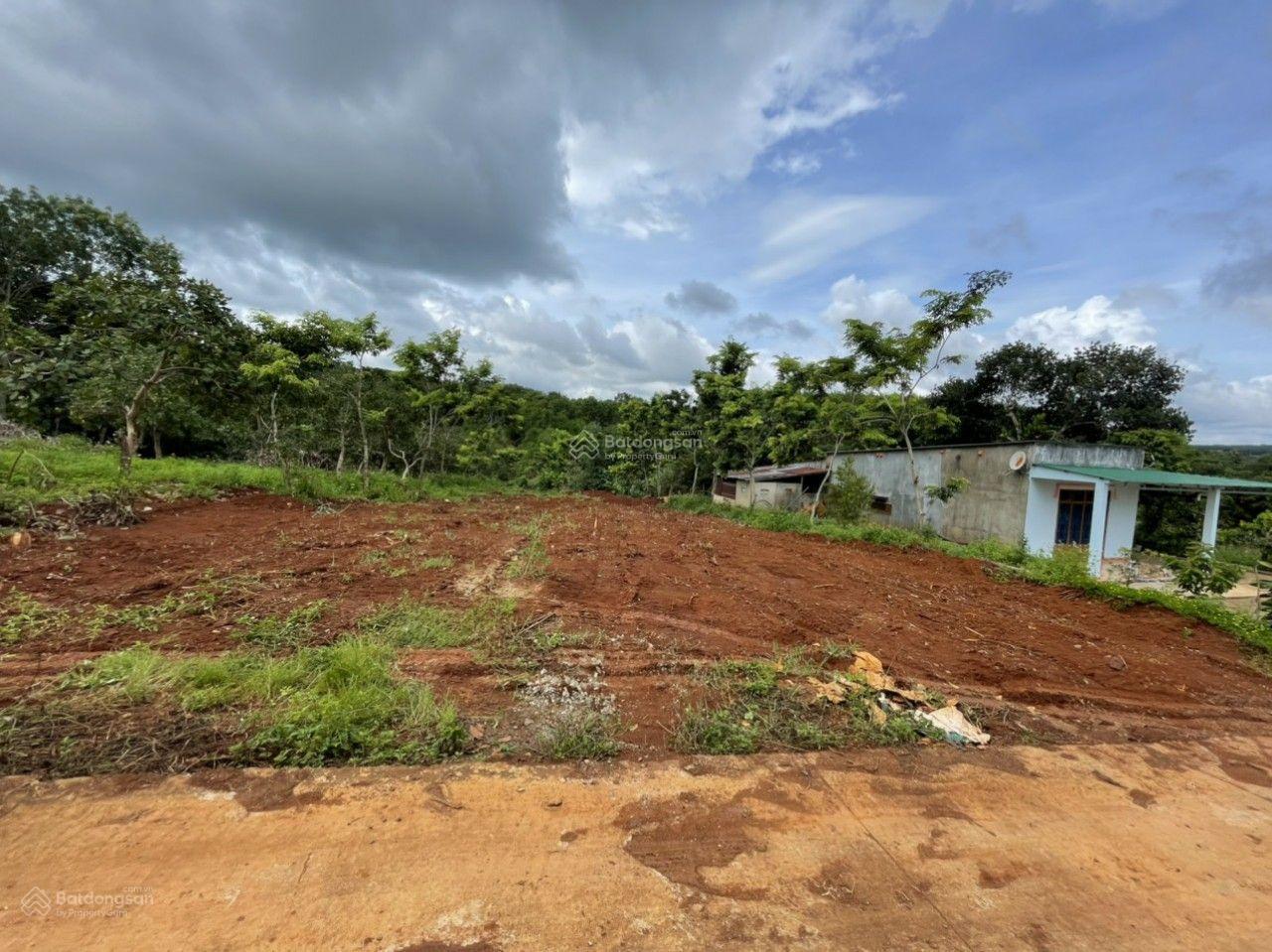 Lô đất đường bê tông- trục đường chính thôn 2 . Dân cư đông Đăk Lim - Đắk Ơ - Bù Gia Mập 933m2