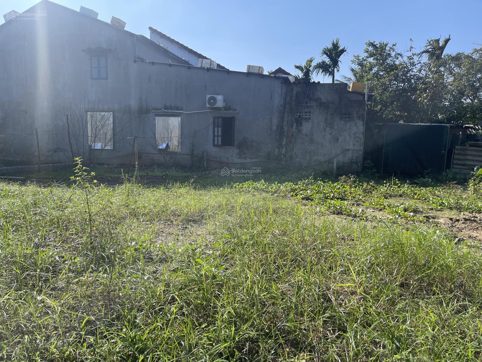 Đất rẻ Hội An cho người tài chính thấp, đường bt 3m, gần sông gần phố, dễ dàng định cư, cho thuê