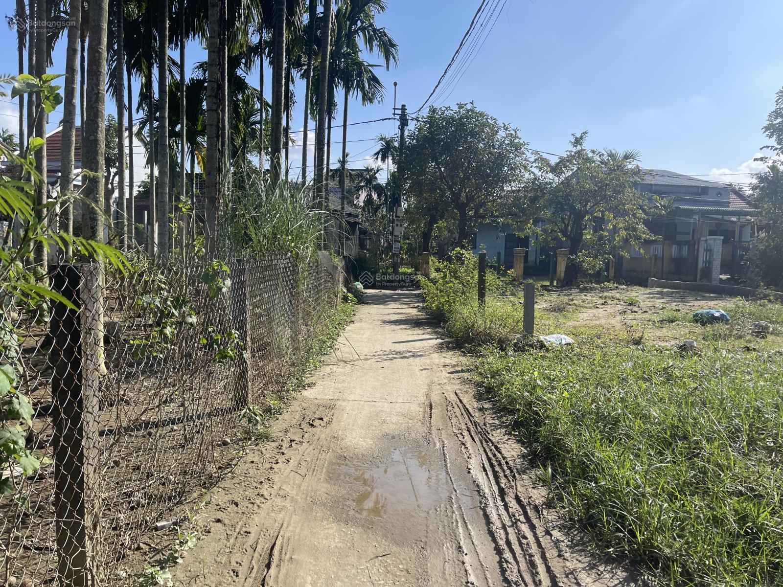 Đất rẻ Hội An cho người tài chính thấp, đường bt 3m, gần sông gần phố, dễ dàng định cư, cho thuê