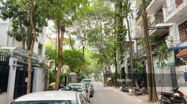 CC bán nhà 3 tầng kiểu biệt thự 19 phố Liễu Giai diện tích 120m2 MT 6,8m ô tô