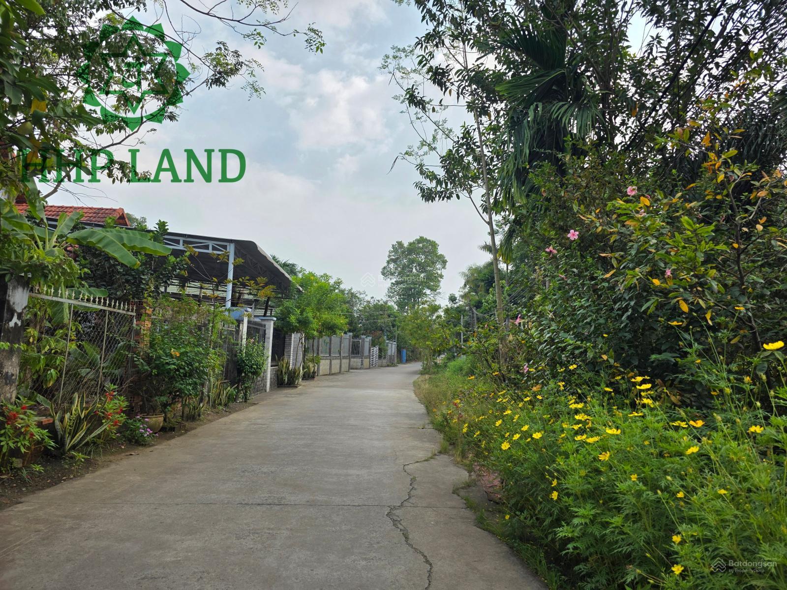 Bán đất sổ riêng P. Hiệp Hòa gần bến đò Kho, cách Đỗ Văn Thi 700m - 0976 711 *** (Thư)