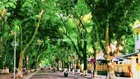 SIÊU PHẨM PHAN ĐÌNH PHÙNG- NHÀ MỚI ĐẸP-6 TẦNG- NGÕ Ô TÔ-PHÁP LÝ CHUẨN-AN CƯ ĐỉNH-KHAI THÁC HOME