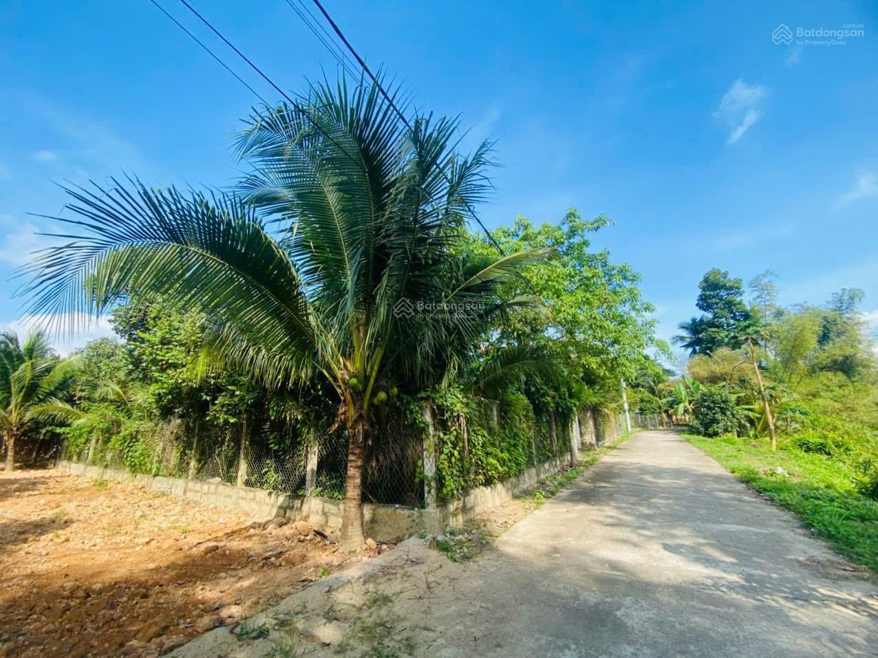 Đất Diên Khánh giá tốt hơn 200m2 giá chỉ 6tr/m2 ngang rộng đường oto Đất Diên Khánh giá tốt hơn 200m2 giá chỉ 6tr/m2 ngang rộng đường oto