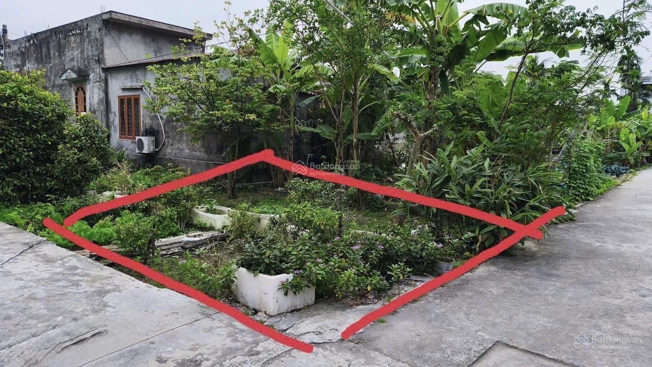 Bán đất Xuân Biều, Văn Đẩu, Kiến An, Hải Phòng, 1,35 tỷ, 54m2 view đẹp, giá tốt Bán đất Xuân Biều, Văn Đẩu, Kiến An, Hải Phòng, 1,35 tỷ, 54m2 view đẹp, giá tốt