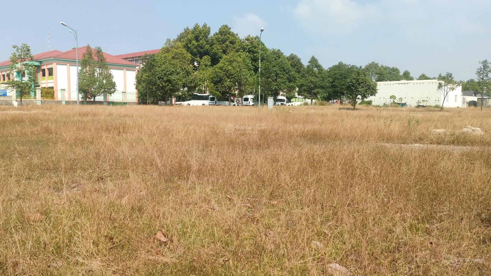 Khu tái định cư Tam An - lô mặt tiền đường chính - DT: 250m2, giá: 6,2 tỷ - An Phước, Long Thành