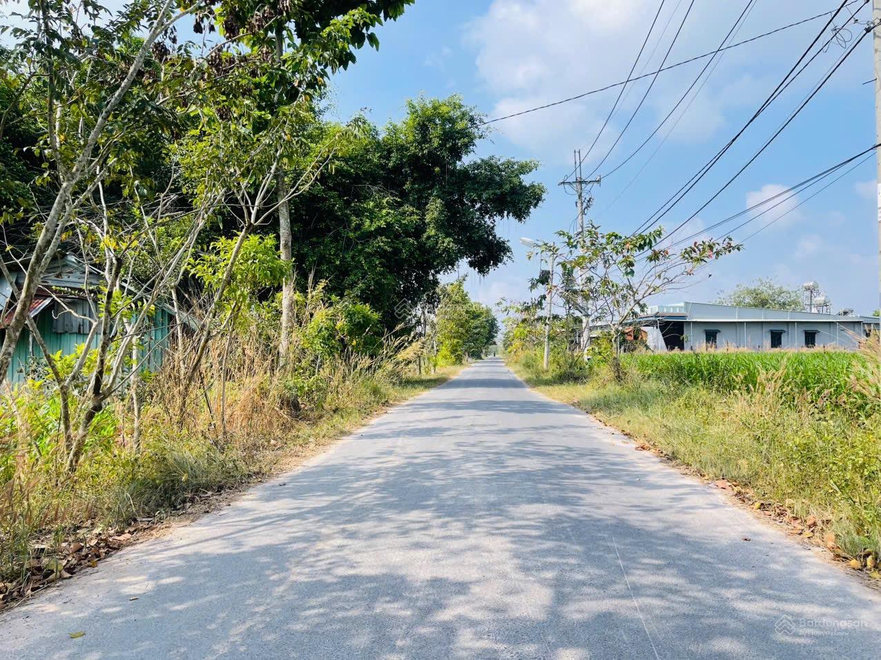 Chính chủ cần bán gấp đất xã trung lập thượng_Củ chi. Dt : 6279m2 ( 24m2 thổ cư ) giá : 8triệu/1m2