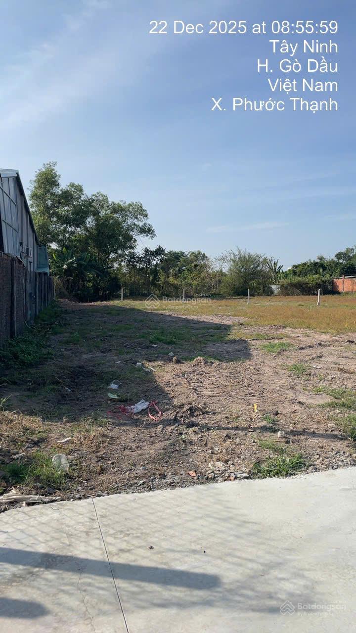 CHỈ 450 TRIỆU LÀ MUA DC LÔ ĐẤT 148M2 NGAY CHỢ PHƯỚC THẠNH- PHƯỚC HỘI GÒ DẦU TÂY NINH.