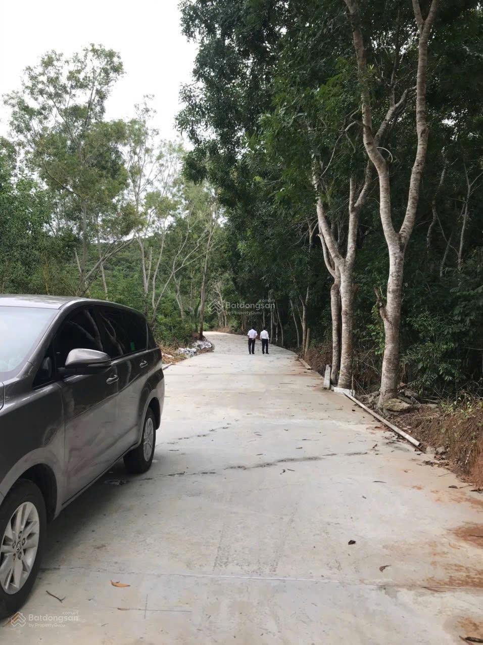 Siêu vip pro 3900m2 500m2 thổ cư 65m2 mặt tiền bê tông