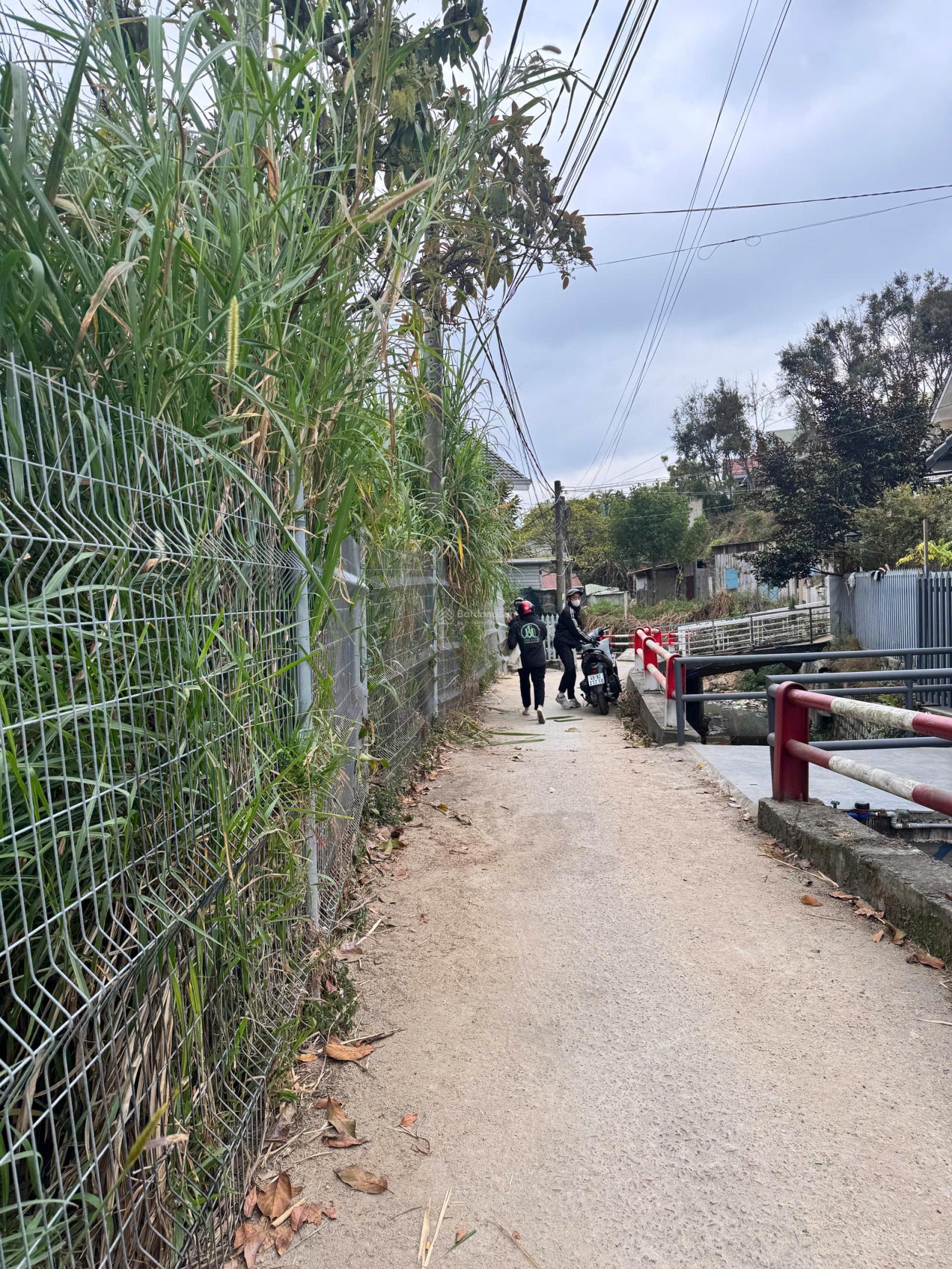 Cần bán đất 962m2, 2 mặt tiền đường Nhà Chung, P. Xuân Hương - Đà Lạt Cần bán đất 962m2, 2 mặt tiền đường Nhà Chung, P. Xuân Hương - Đà Lạt