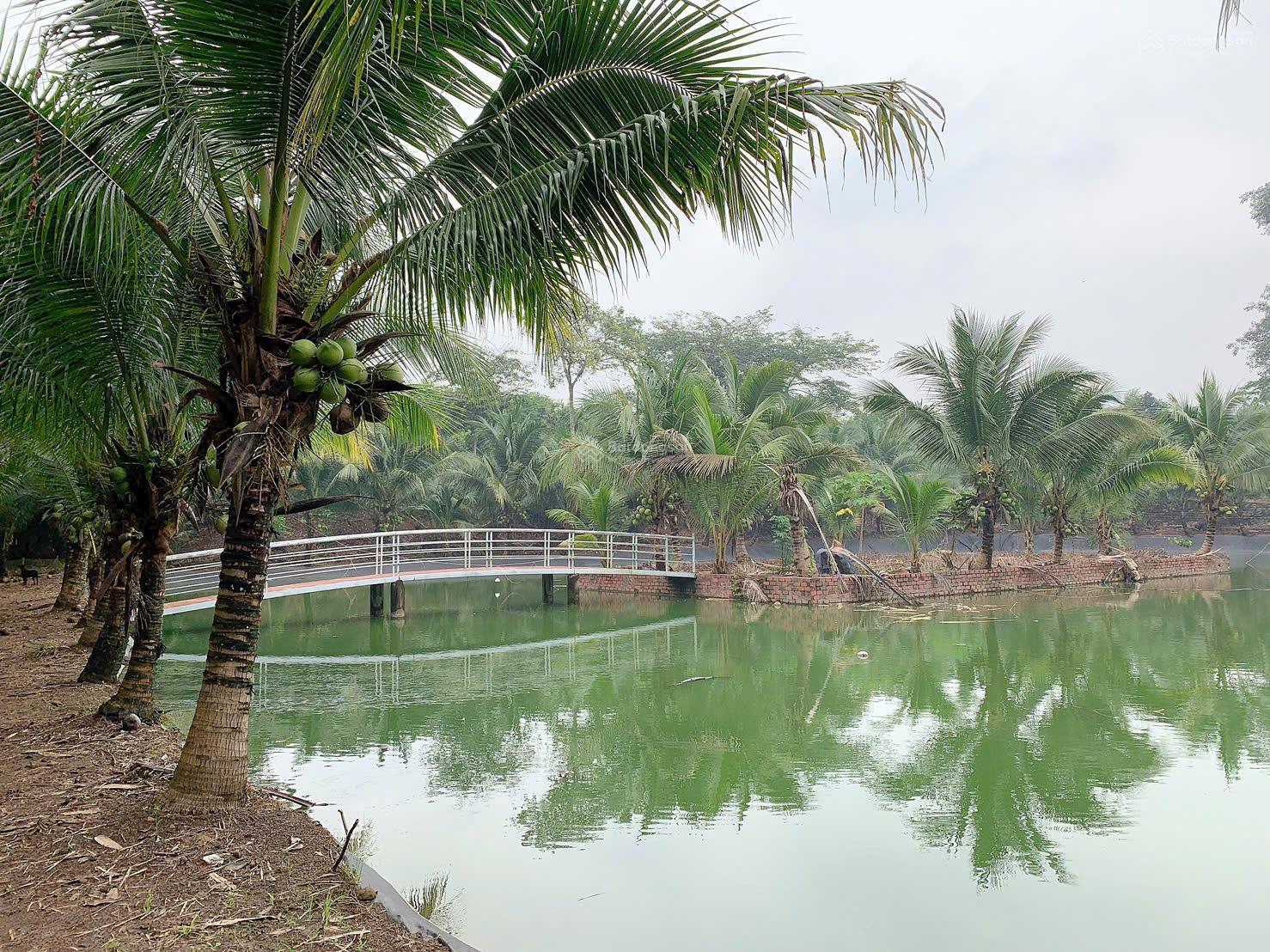 Bán khoảng hơn 1 mẫu 4 (14621m2) đất xã Bình Ba, huyện Châu Đức, BRVT. Giá 17 tỷ Bán khoảng hơn 1 mẫu 4 (14621m2) đất xã Bình Ba, huyện Châu Đức, BRVT. Giá 17 tỷ