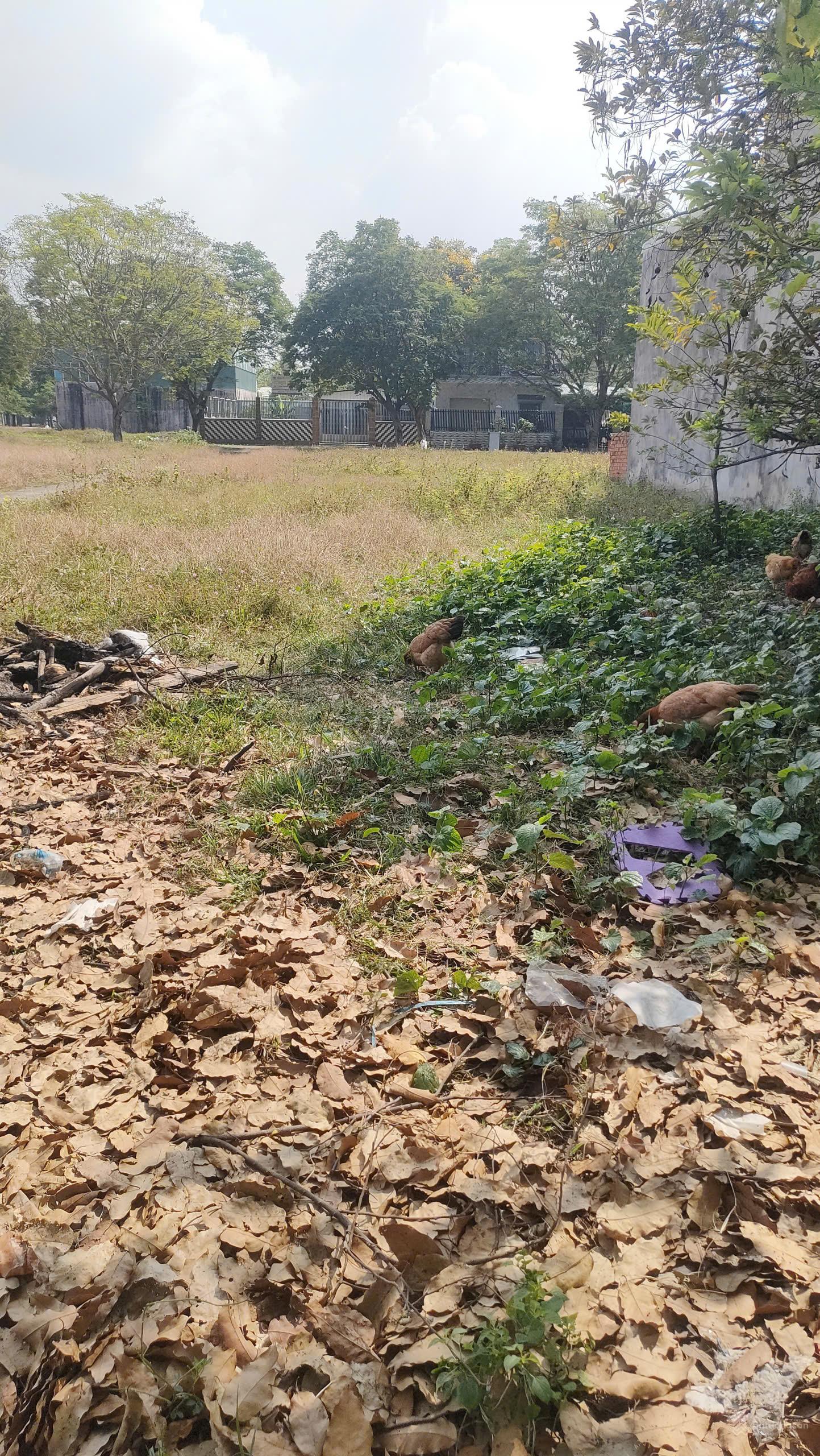 Lô 5m ngang khu tái định cư Tam An - DT: 135,9m2, giá: 2,5 tỷ - An Phước, Long Thành, Đồng Nai