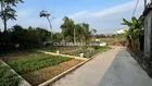 Bán đất 66.3m2 tại phố Hạ Bằng, Thạch Thất, Hà Nội, 52 triệu / m2
