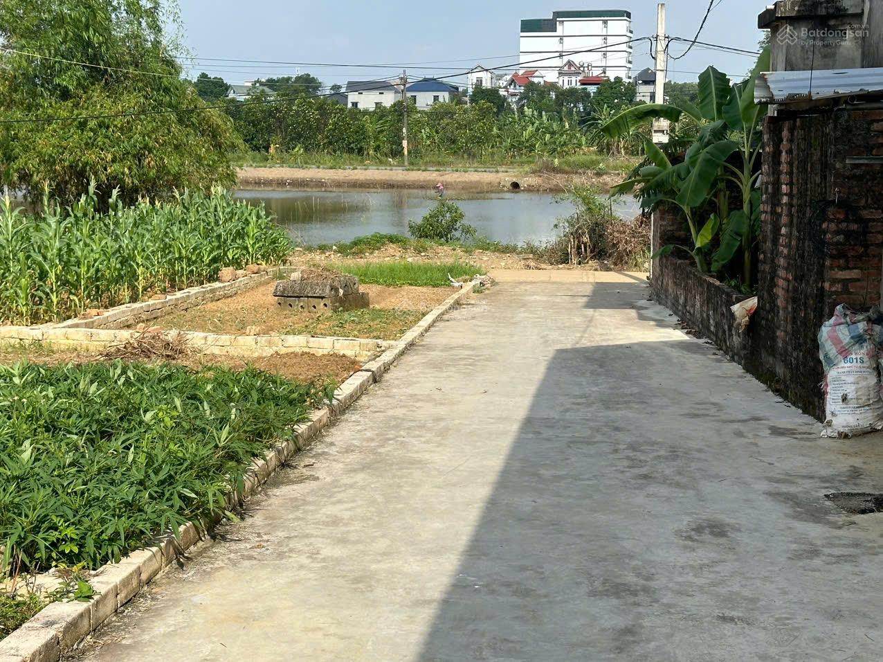 Bán đất 66.3m2 tại phố Hạ Bằng, Thạch Thất, Hà Nội, 52 triệu / m2