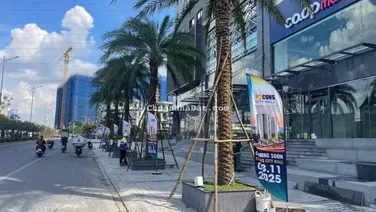 Vip mặt tiền Tôn Thất Tùng kinh doanh đa ngành nghề 108m2 13,2 tỷ